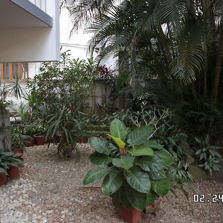 Sandra'S Home Kochi 外观 照片